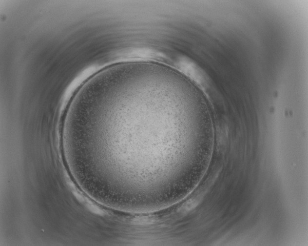 X0000080721480200612151146