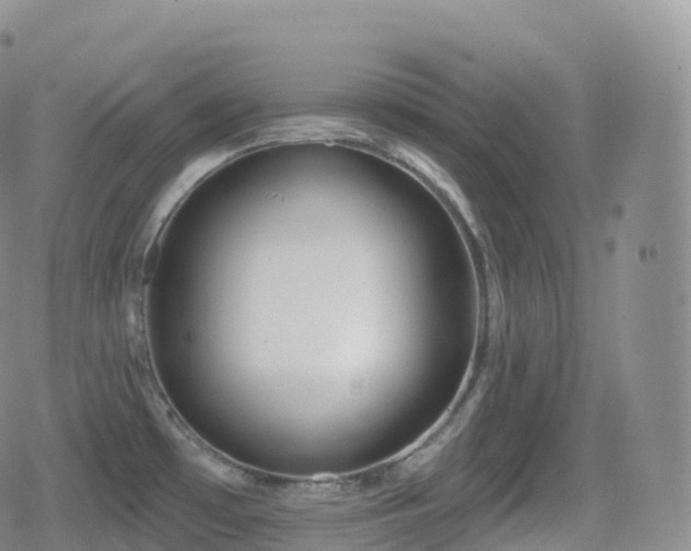 X0000080721481200612151146