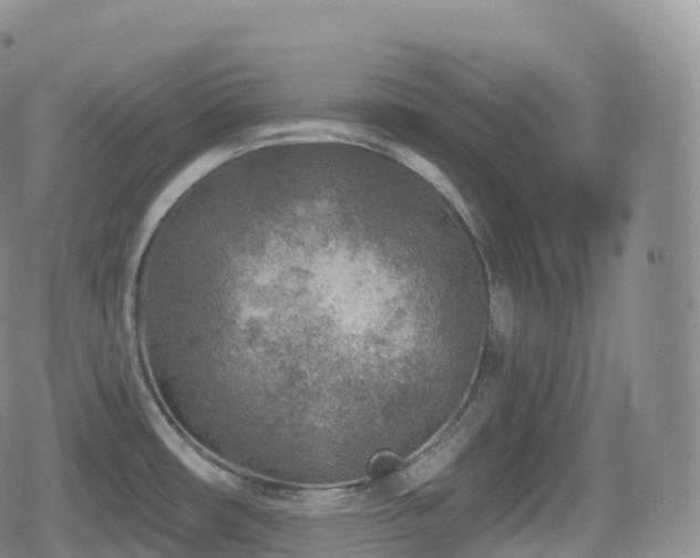 X0000080721482200612151146