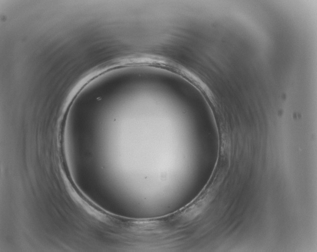 X0000080721483200612151146