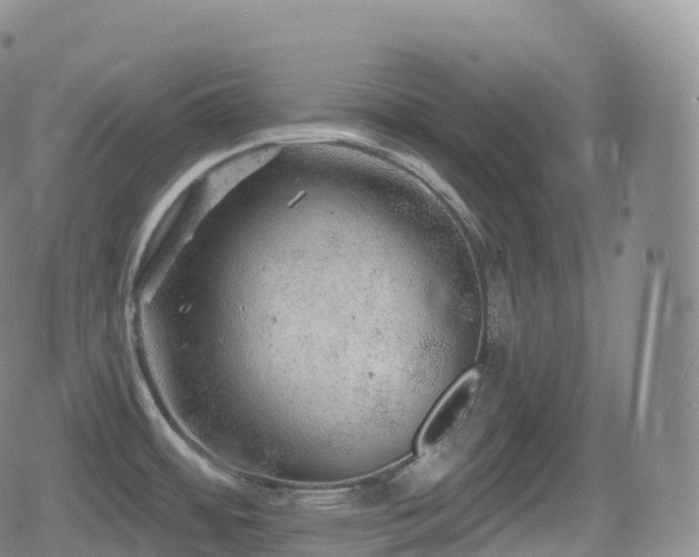 X0000080721484200612151146