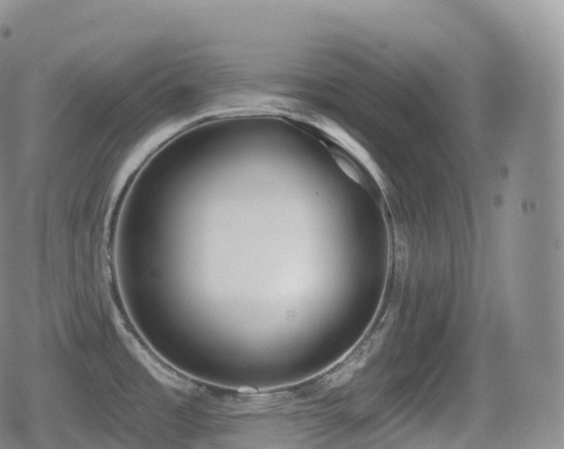 X0000080721485200612151146