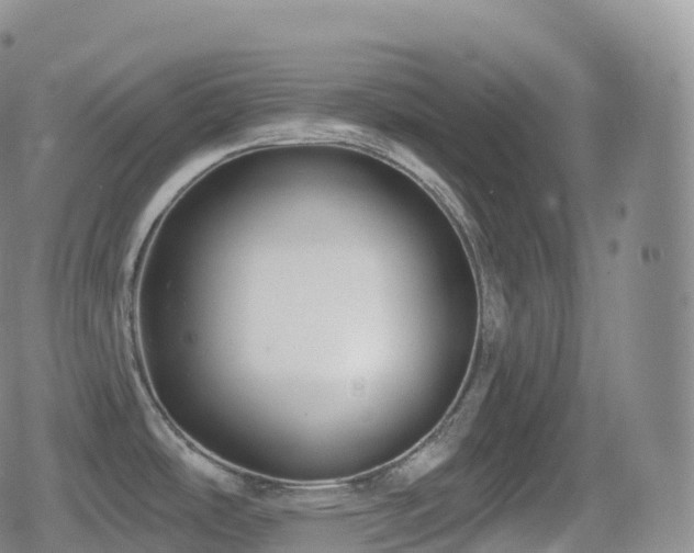 X0000080721486200612151146