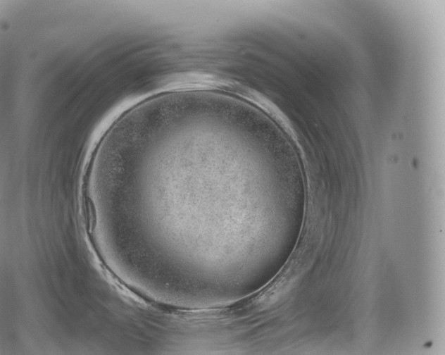 X0000080721488200612151146