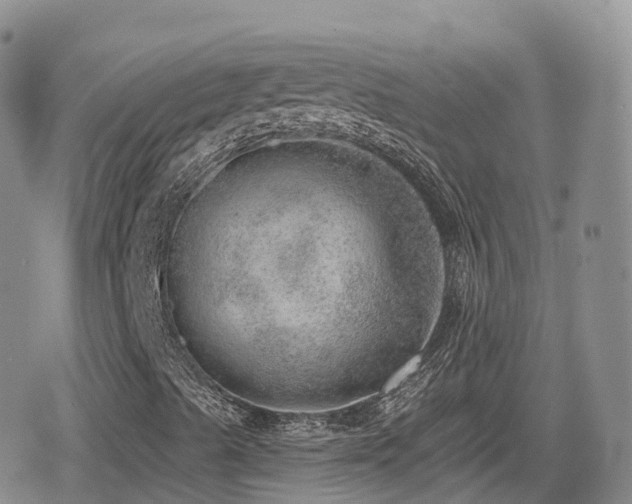 X0000080721489200612151145