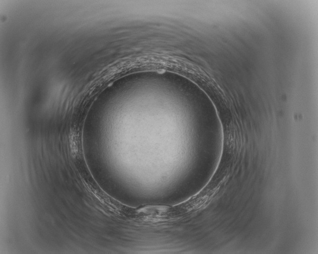 X0000080721490200612151145