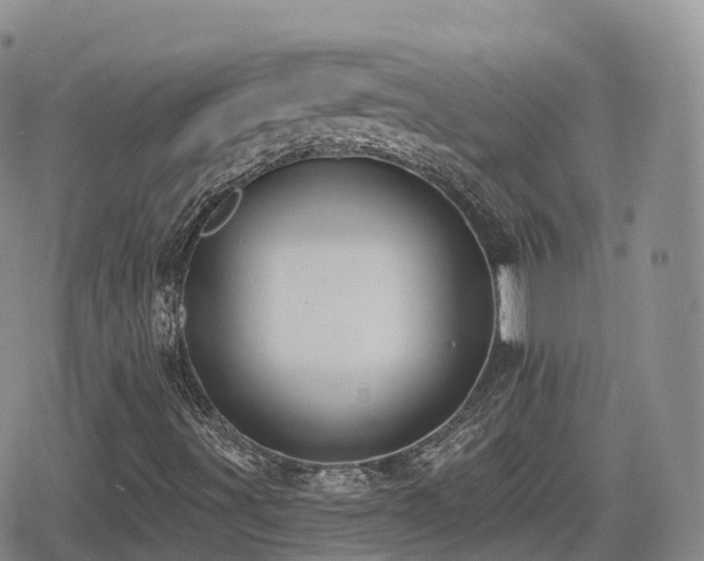 X0000080721491200612151145