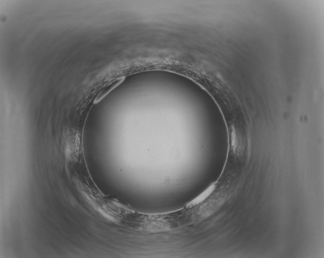 X0000080721492200612151145