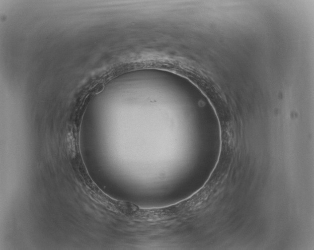 X0000080721493200612151145