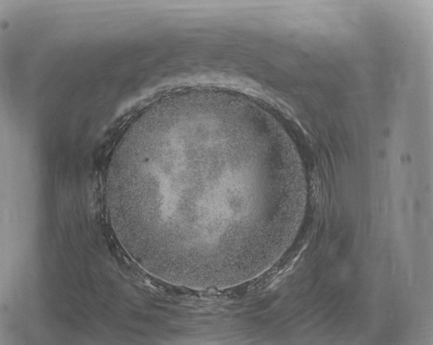 X0000080721494200612151145