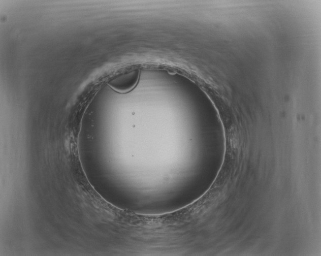 X0000080721495200612151145