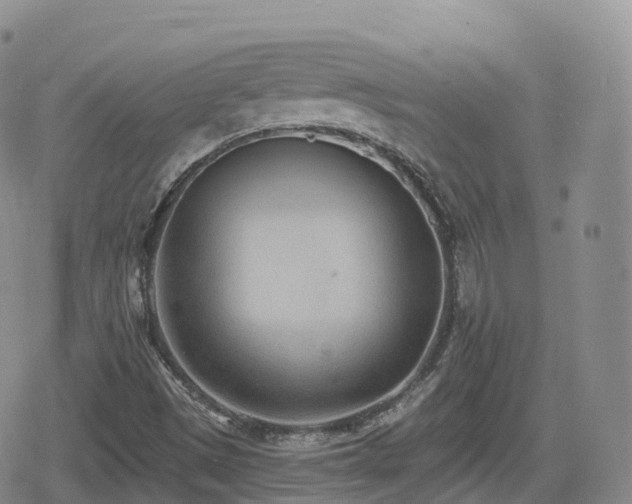 X0000080721497200612151146