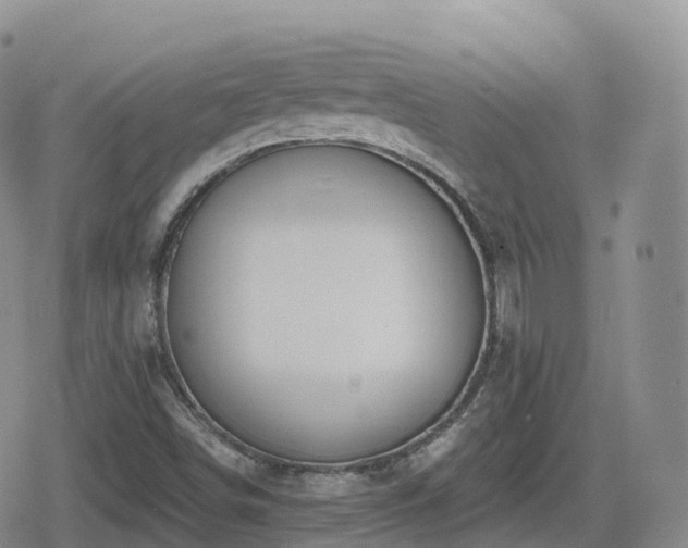 X0000080721498200612151146