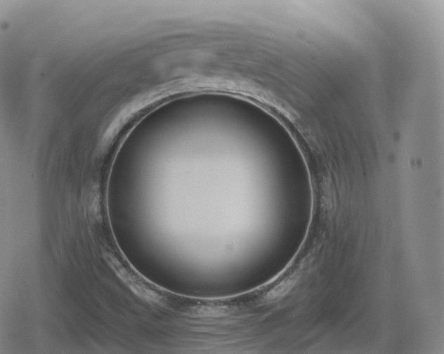 X0000080721499200612151146