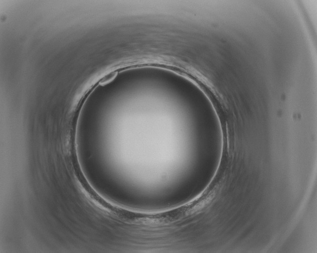 X0000080721500200612151146