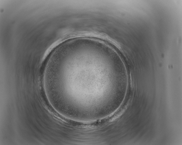 X0000080721501200612151146