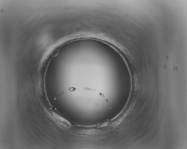 X0000080721502200612151146