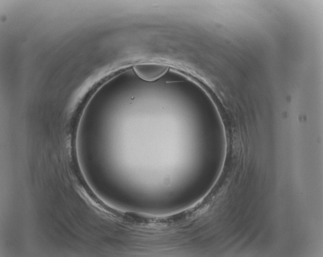 X0000080721503200612151146