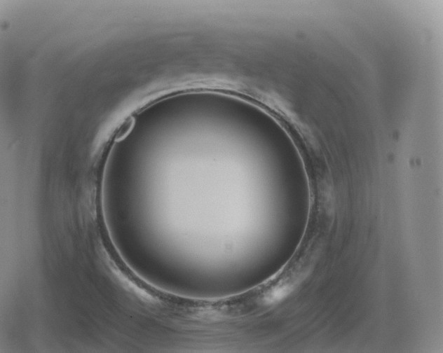 X0000080721504200612151146