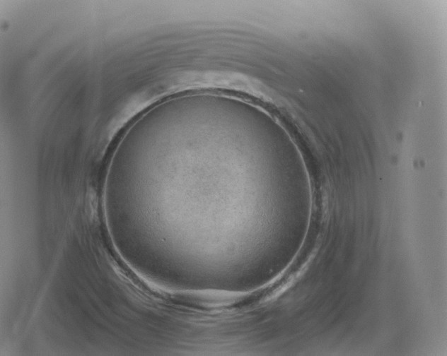 X0000080721505200612151146