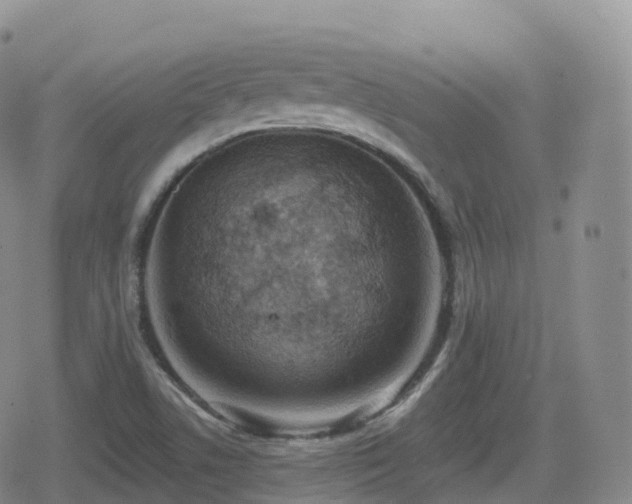 X0000080721506200612151146