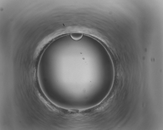 X0000080721507200612151146