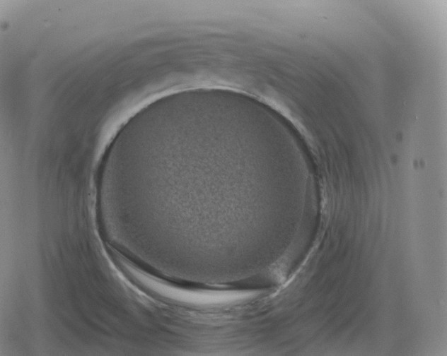 X0000080721508200612151146