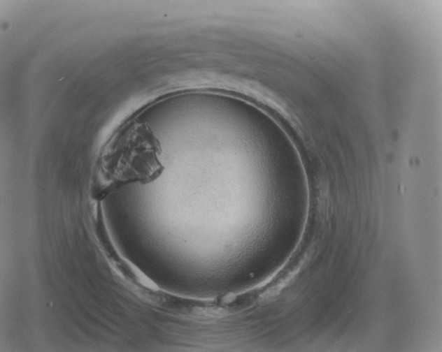 X0000080721509200612151146