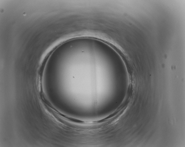 X0000080721510200612151146