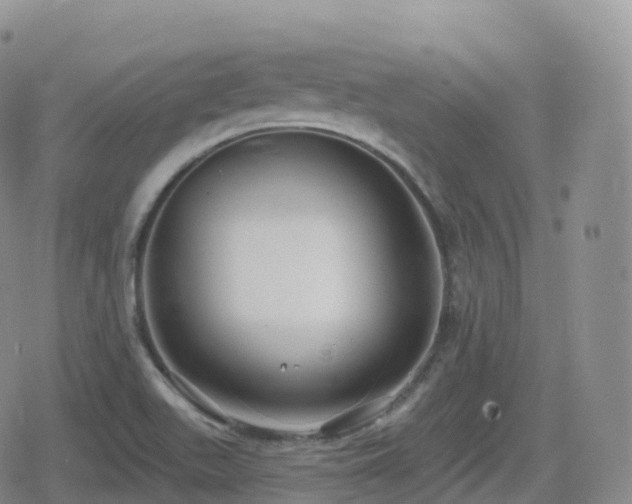 X0000080721511200612151146