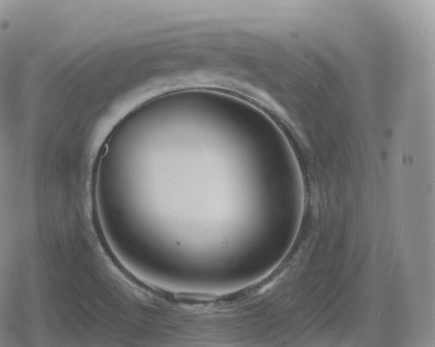 X0000080721512200612151146