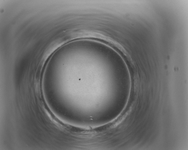 X0000080721513200612151146