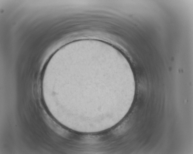 X0000080721514200612151146