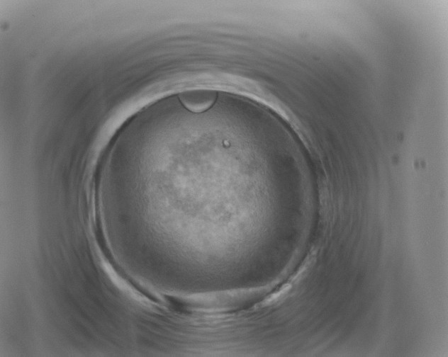 X0000080721515200612151146