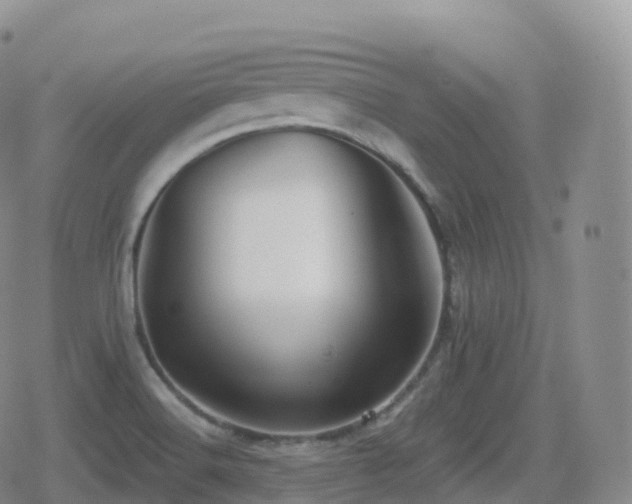 X0000080721516200612151146