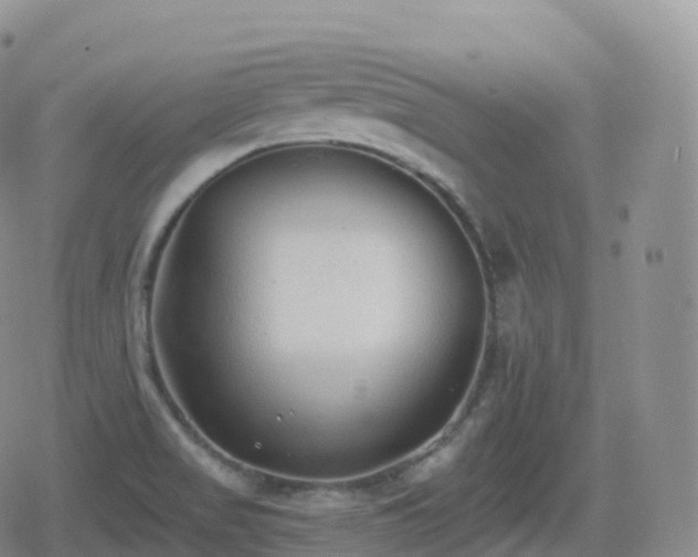 X0000080721517200612151146