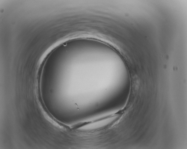 X0000080721518200612151146