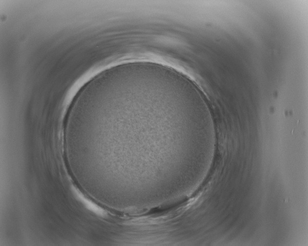 X0000080721519200612151146