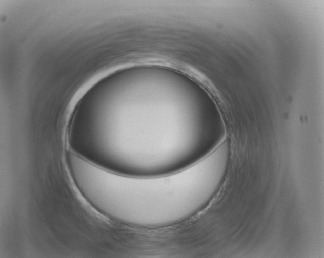 X0000080721520200612151146