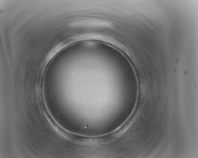 X0000080721521200612151146