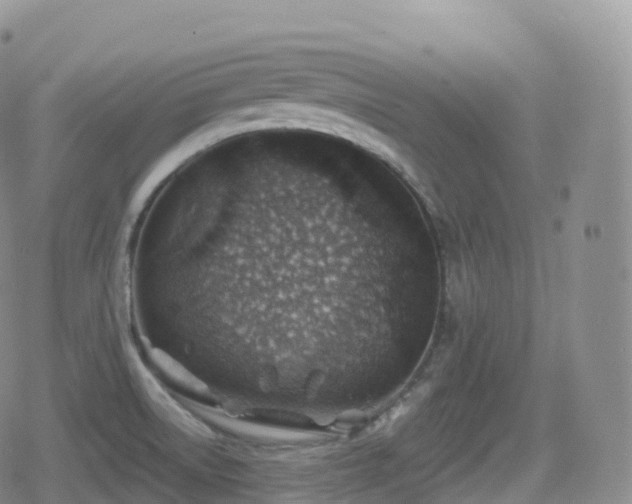 X0000080721522200612151146