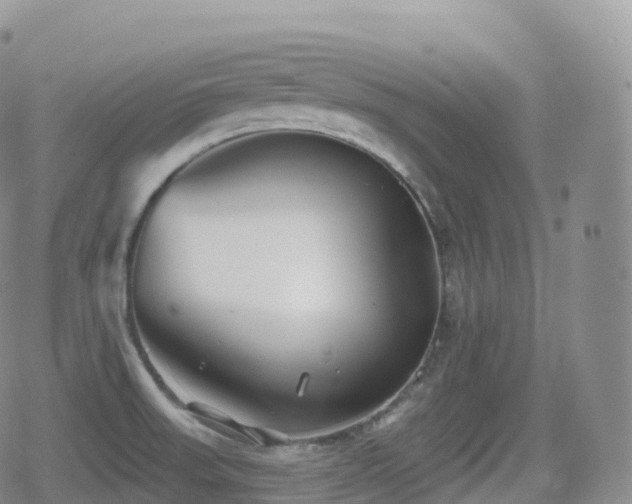 X0000080721523200612151146