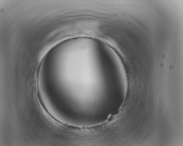 X0000080721524200612151146