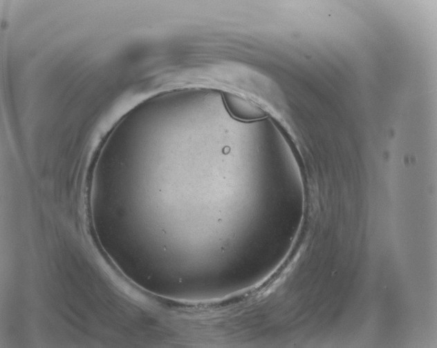 X0000080721525200612151146