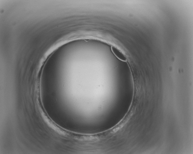 X0000080721526200612151146