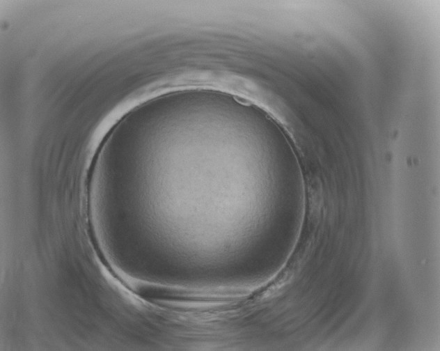 X0000080721527200612151146