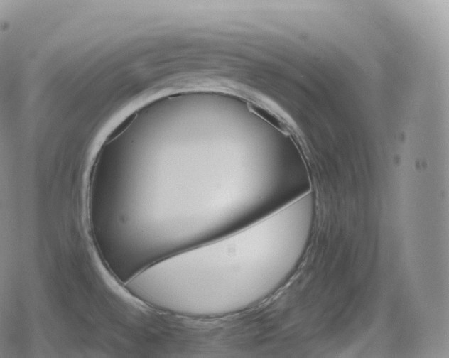 X0000080721528200612151146