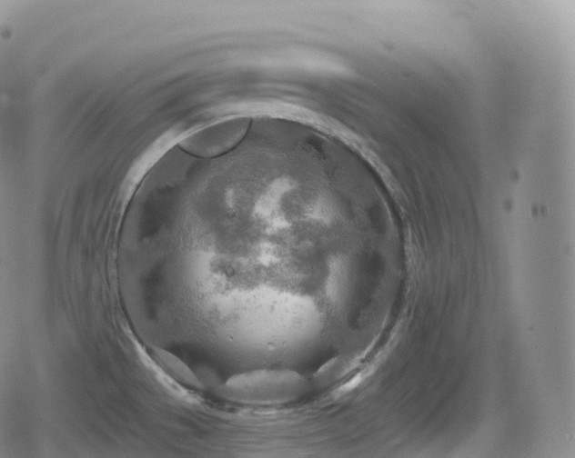 X0000080721529200612151146