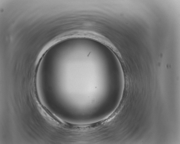 X0000080721530200612151146