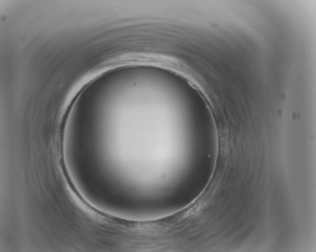 X0000080721531200612151146